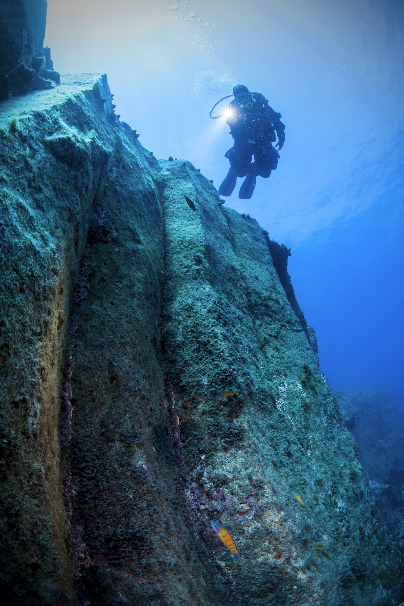 A Scuba Diver Uses a Light to Illuminate Steep Underwater Wall